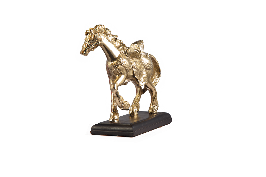 NAM-00619