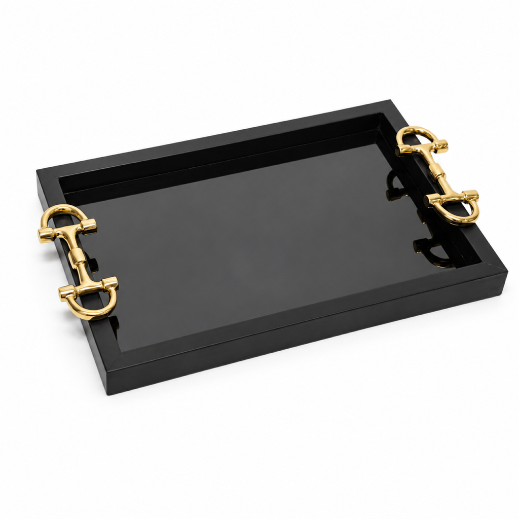 BLACK GLASS-REX TRAY
